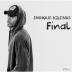 Enrique Iglesias: Final (Vol.1)