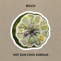 Wilco: Hot Sun Cool Shroud LP