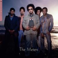 Meters: Now Playing  LP