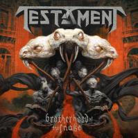 Testament:  Brotherhood of the Snake (Digi)