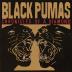 Black Pumas: Chronicles of a Diamond LP