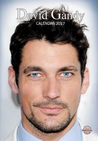 Kalendář 2017 - DAVID GANDY