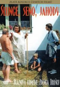 Slunce, seno, jahody - DVD