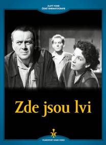 Zde jsou lvi - DVD (digipack)