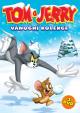 Tom a Jerry vánoční kolekce 3DVD