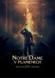 Notre-Dame v plamenech