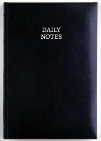 Daily Notes - New Karachi denní A5 - modrá