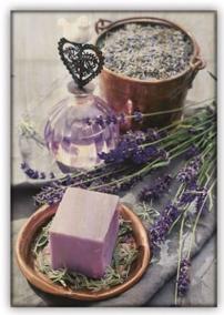 Obraz: Provence (340x485)