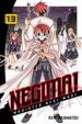 Negima! 13