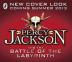 The Battle of Labyrinth - Percy Jackson