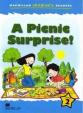 Macmillan Children´s Readers Level 2: A Picnic Surprise