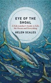 Eye of the Shoal : A Fishwatcher´s Guide to Life, the Ocean and Everything