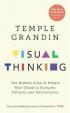 Visual Thinking : The Hidden Gifts of People Who Think in Pictures, Patterns and Abstractions