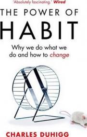 The Power of Habit : Why We Do What We Do, and How to Change