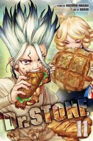 Dr. Stone 11