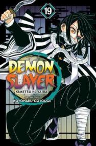 Demon Slayer: Kimetsu no Yaiba 19