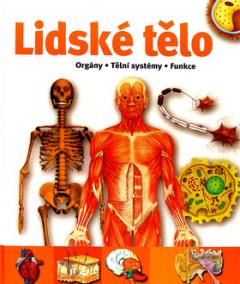 Lidské tělo