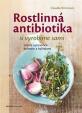 Rostlinná antibiotika si vyrobíme sami - Léčení a prevence kořením a bylinkami