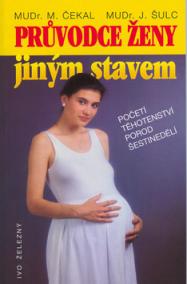 Průvodce ženy jiným stavem