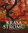 Krása stromů