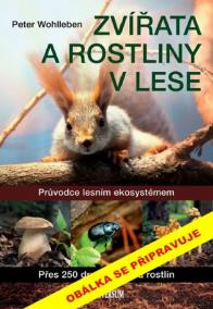 Zvířata a rostliny v lese