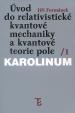 Úvod do relativistické kvantové mechaniky a kvantové teorie pole