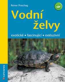 Vodní želvy – exotické, fascinující, exkluzivní