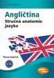 Angličtina - Stručná anatomie jazyka