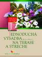 Jednoduchá výsadba na terase a streche