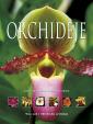 Orchideje