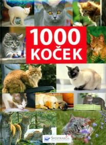 1000 koček