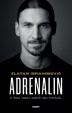 Adrenalin