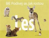 Podívej se, jak rostou: Les