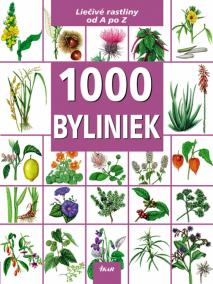 1000 Byliniek