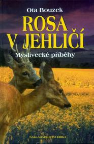 Rosa v jehličí