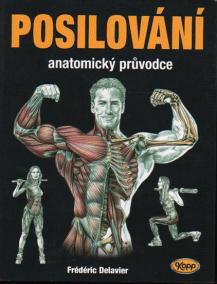 Posilování - anatomický průvodce