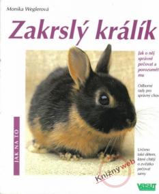 Zakrslý králík - Jak na to