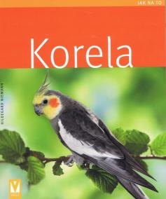 Korela