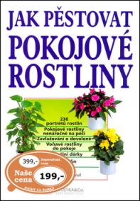 Jak pěstovat pokojové rostliny