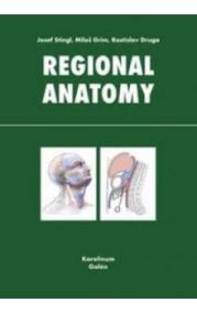 Regional anatomy