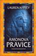 Amonova pravice