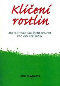 Klíčení rostlin - Jak pěstovat naklíčená