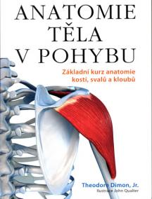 Anatomie těla v pohybu