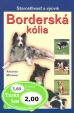 Borderská kólia