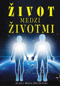 Život medzi životmi