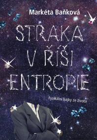 Straka v říši entropie