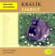 Králík zakrslý - Abeceda chovatele