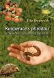 Kooperace s přírodou v harmonii s přírodními bytostmi