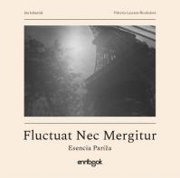 Fluctuat Nec Mergitur