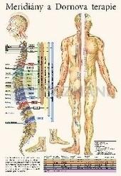 Mapa - Meridiány a dornova terapie